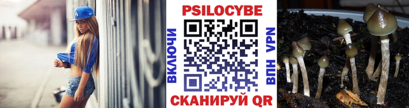 Псилоцибиновые грибы Magic Shrooms Арамиль
